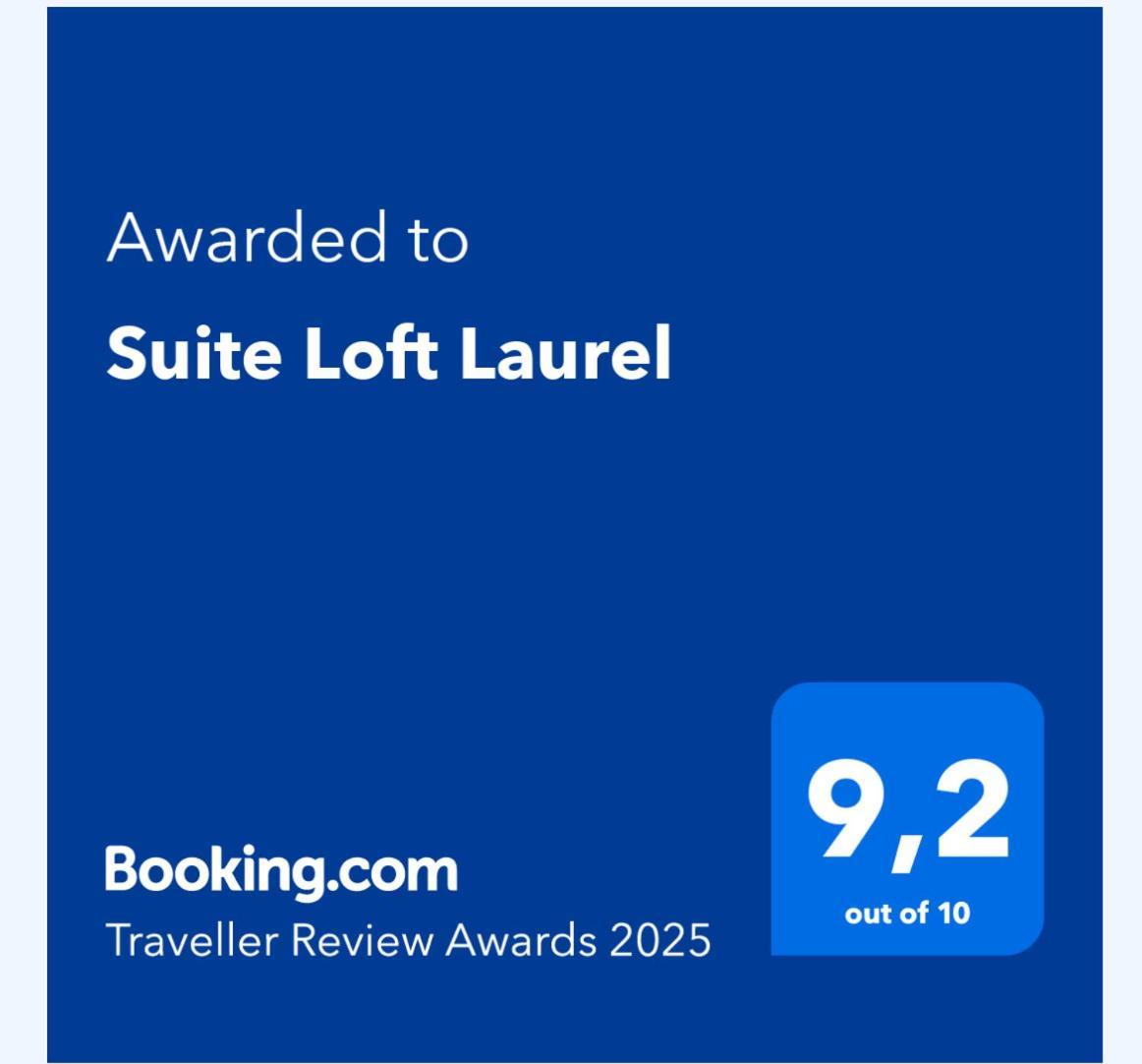 Suite Loft Laurel ログローニョ エクステリア 写真